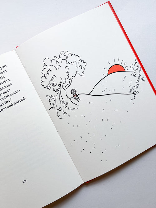 Otto: A tale of a boy and a tail