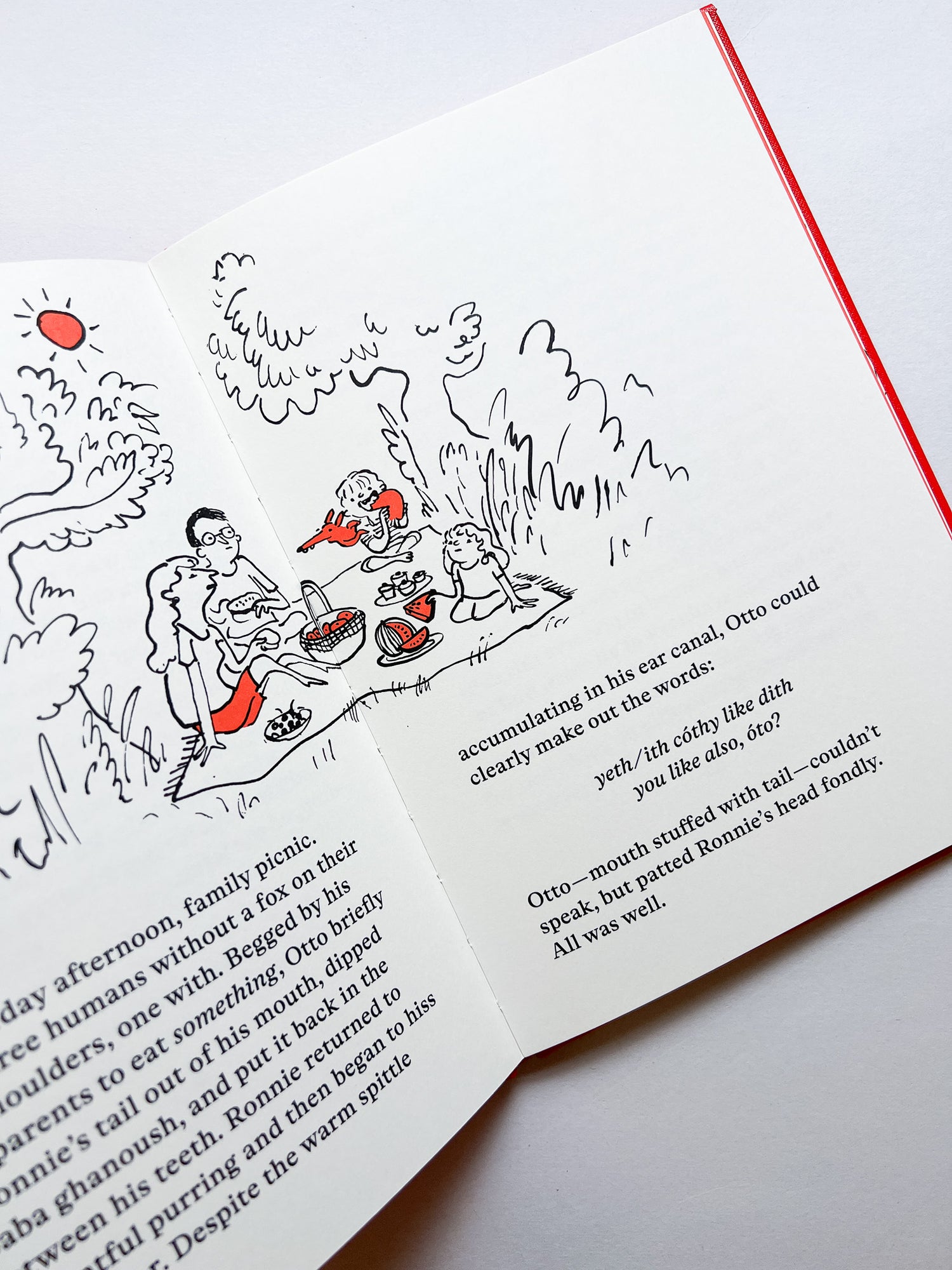 Otto: A tale of a boy and a tail