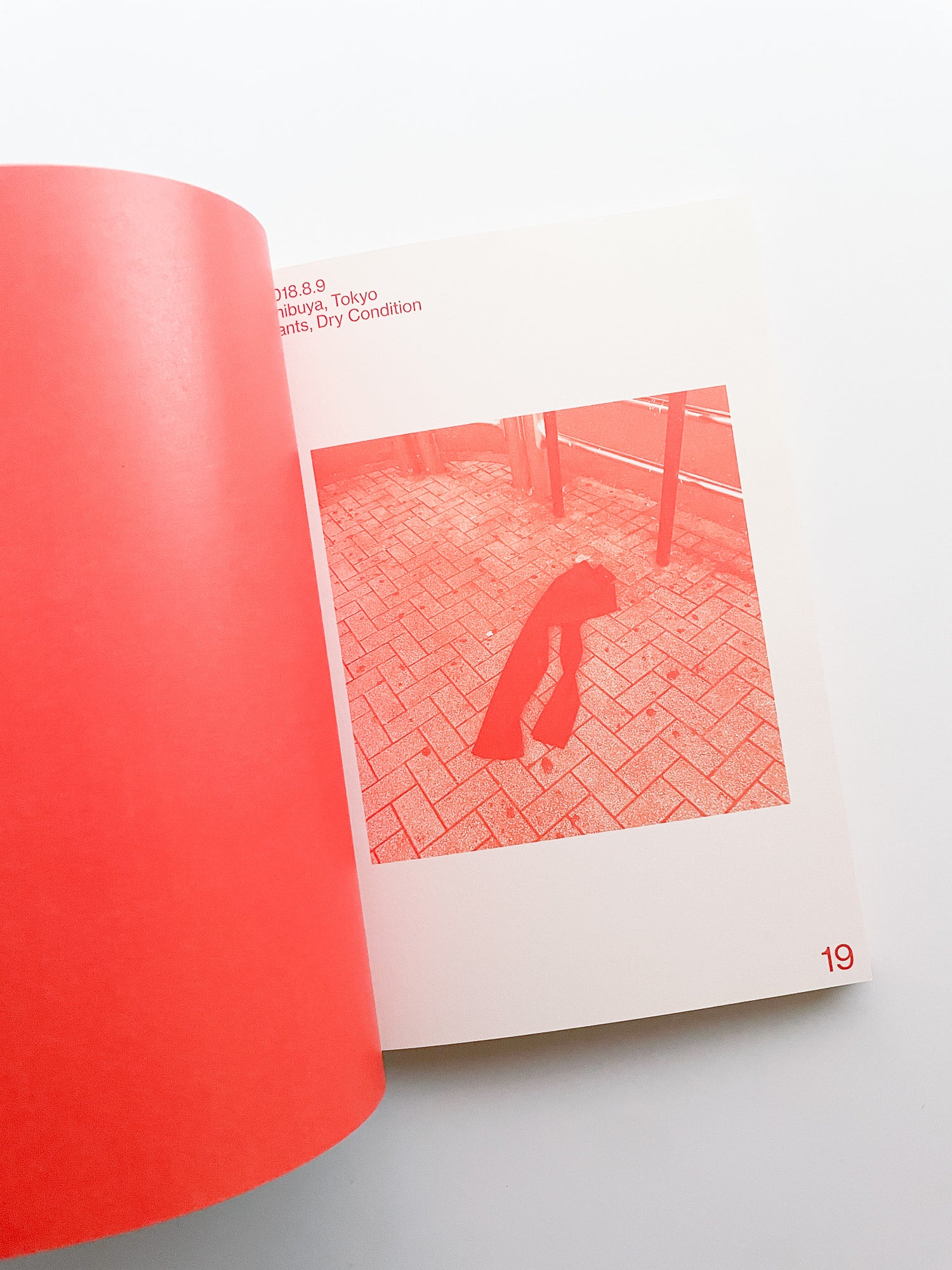 MAGNETIC DRESS / PUGMENT