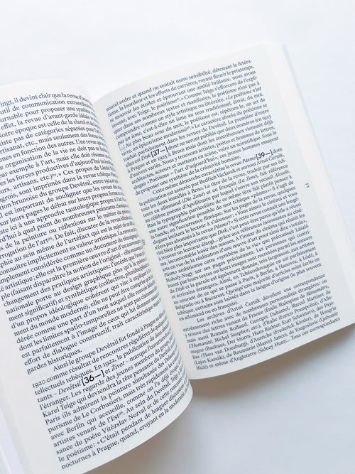 Télégraphes de l’Utopie – L’art des avant-gardes en Europe Centrale 1918-1939, Sonia de Puineuf