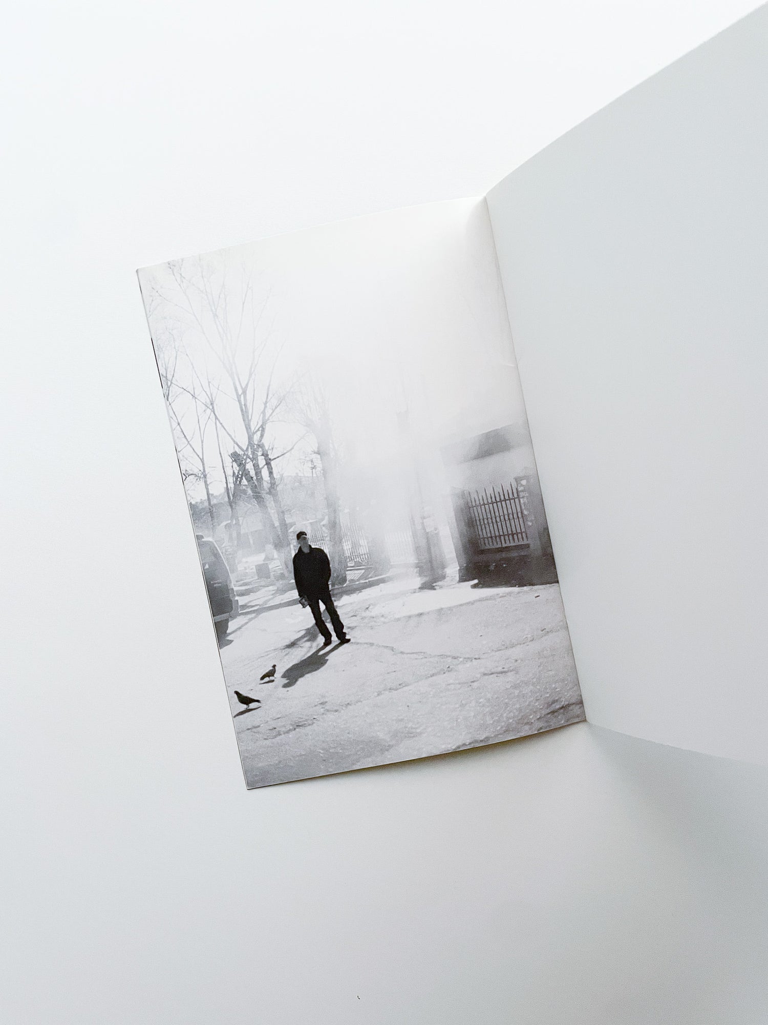A Day in the Life of... / Ola Rindal