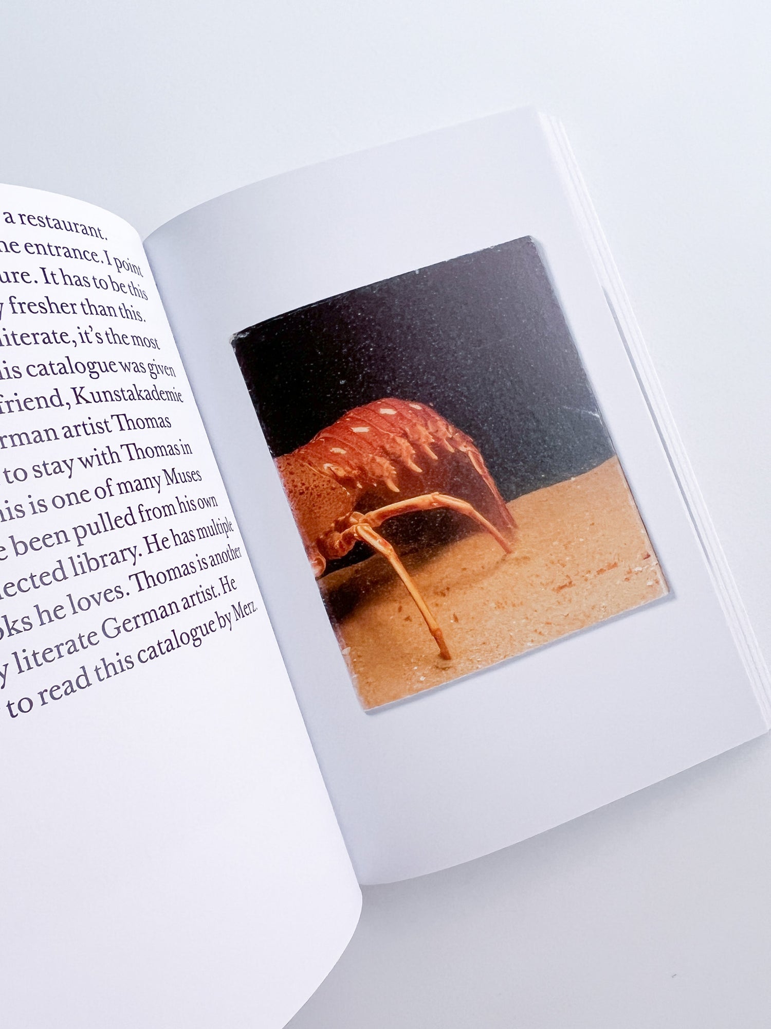 Baskerville's Teardrop Explodes - A Selection of Books as Muses / John Morgan