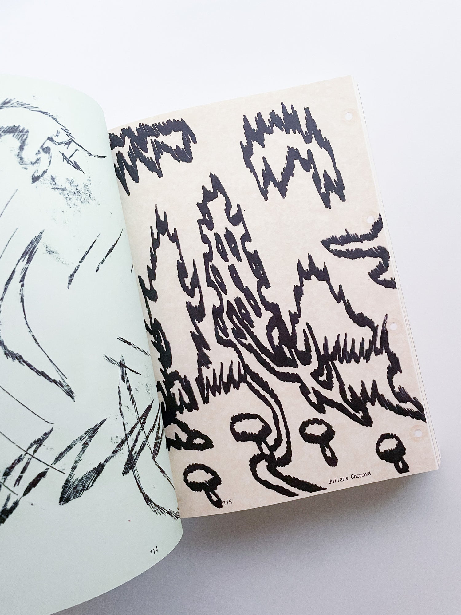 Shoplifters Issue 9: DRAWINGS