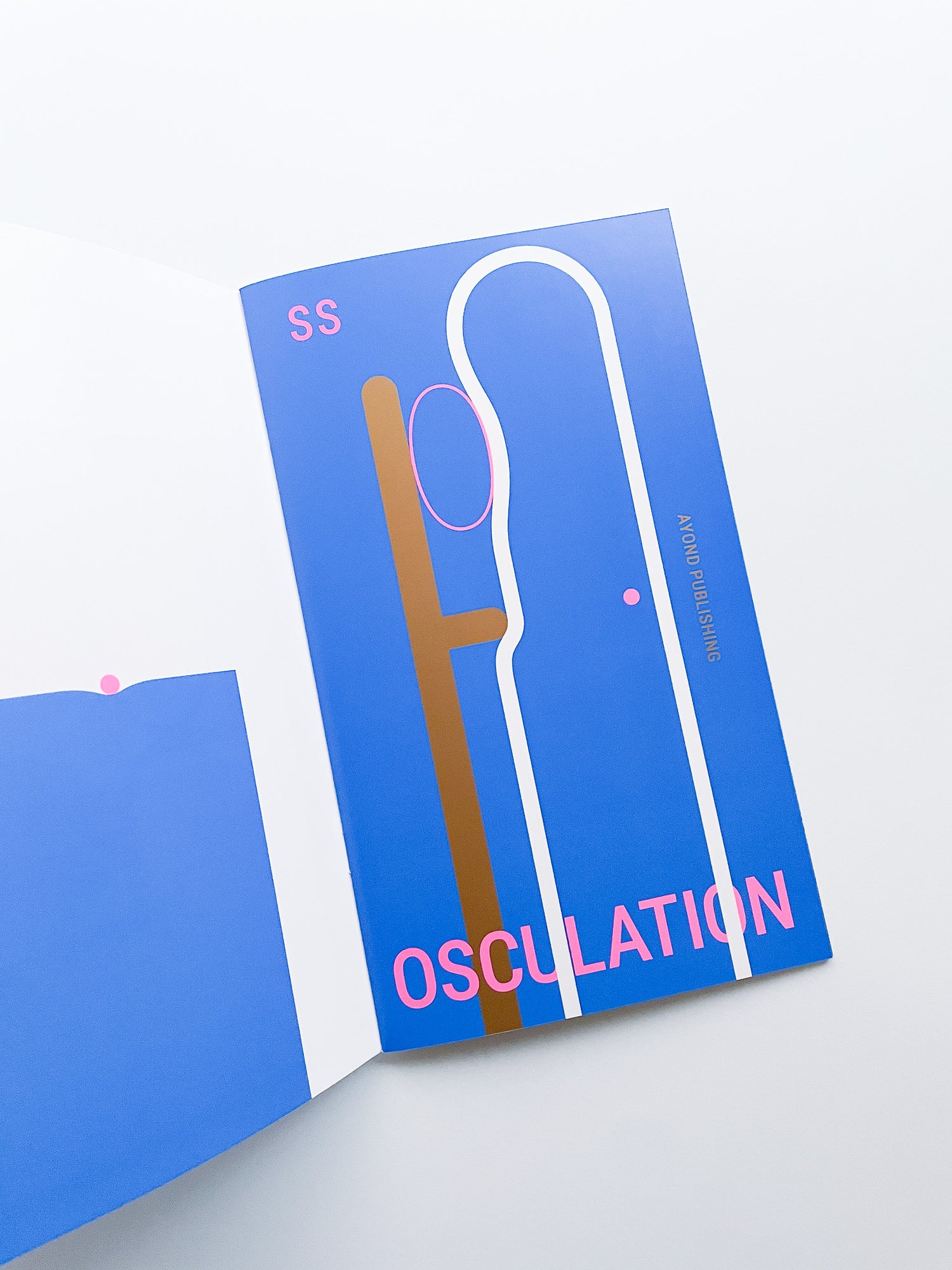 OSCULATION ZINE / Shun Sasaki