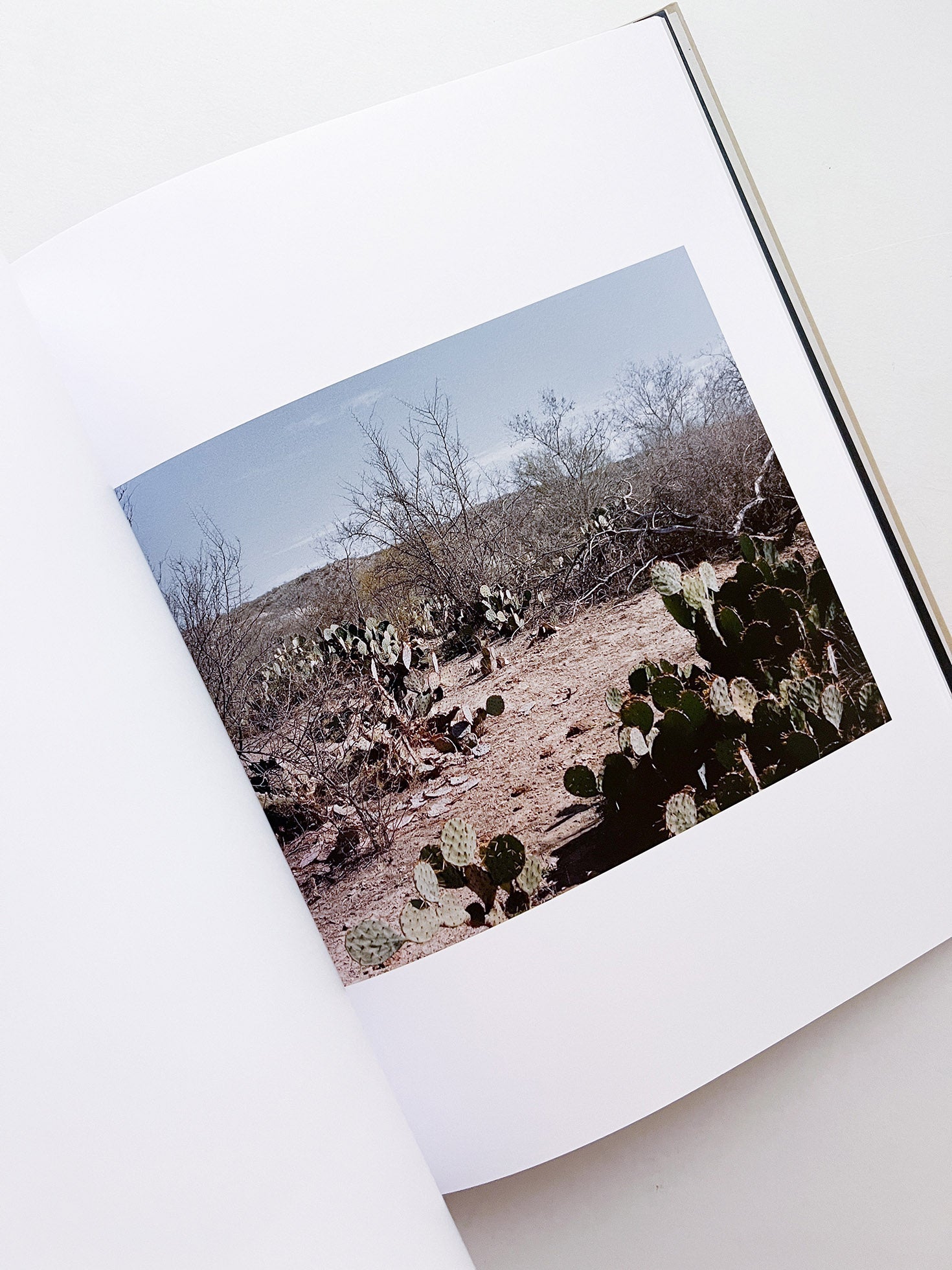 BRAVO / Felipe Romero Beltrán