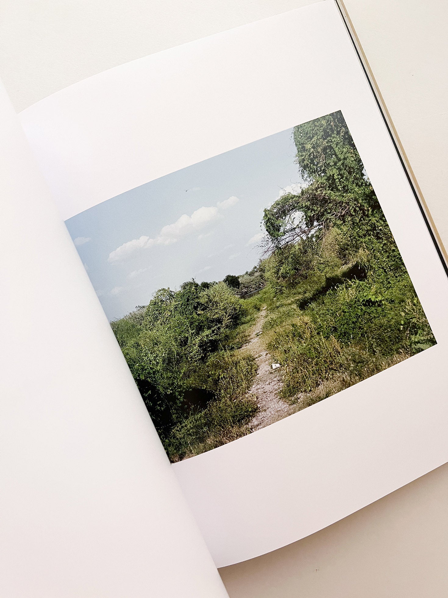 BRAVO / Felipe Romero Beltrán