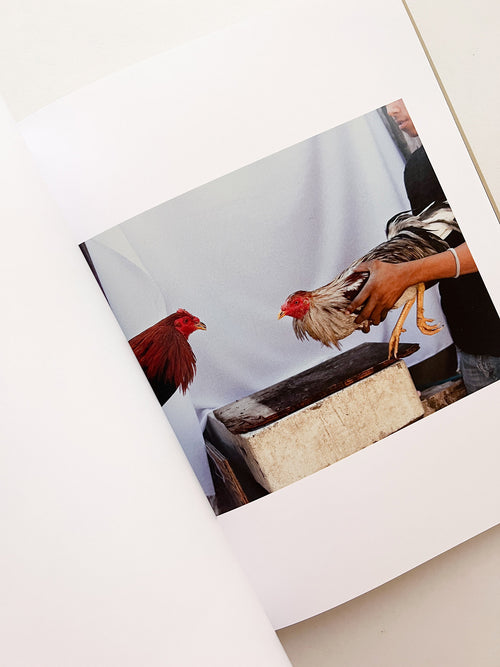 BRAVO / Felipe Romero Beltrán