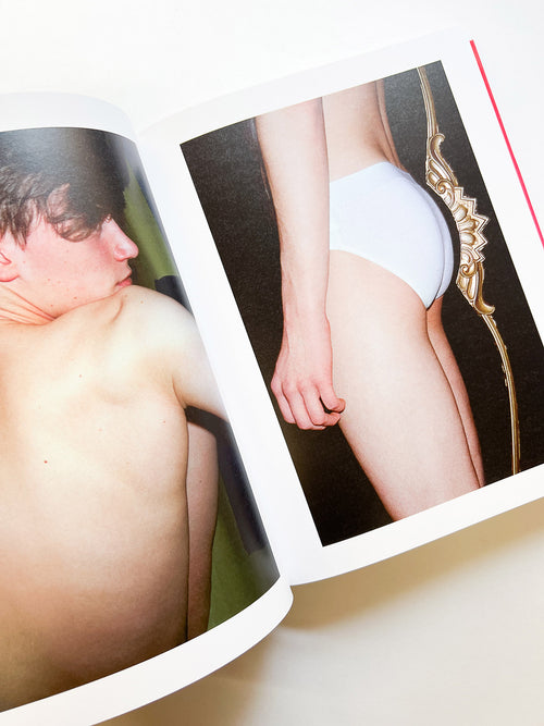 Chez Walti Photographs 2000–2022 / Walter Pfeiffer