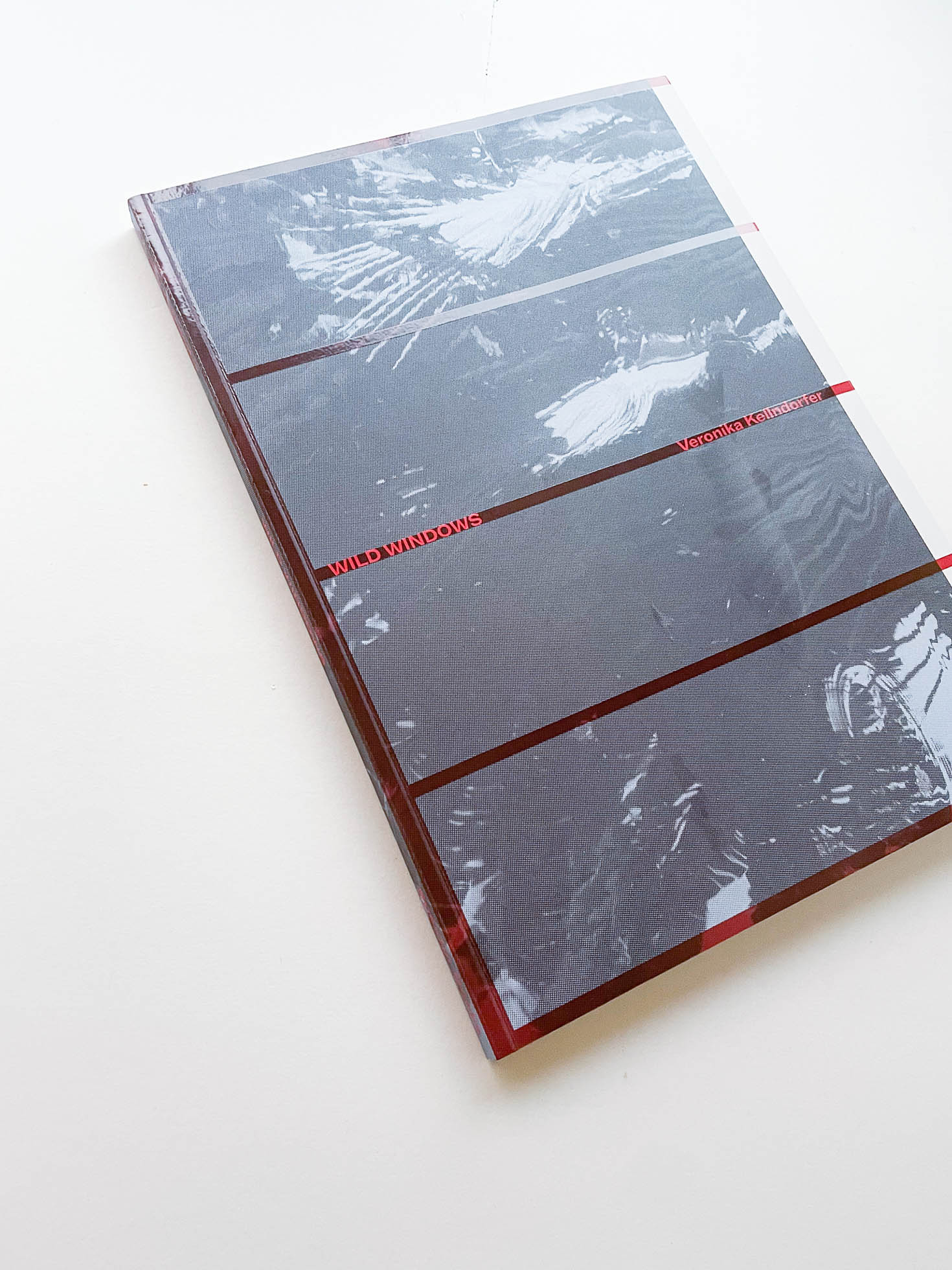 WILD WINDOWS: INSTITUTO BARDI | CASA DE VIDRO / Veronika Kellndorfer