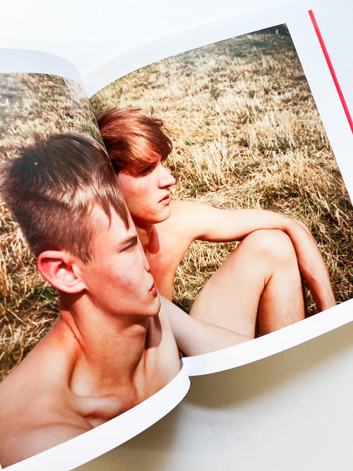 Chez Walti Photographs 2000–2022 / Walter Pfeiffer