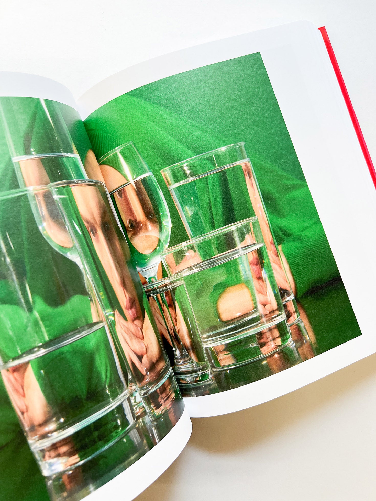 Chez Walti Photographs 2000–2022 / Walter Pfeiffer