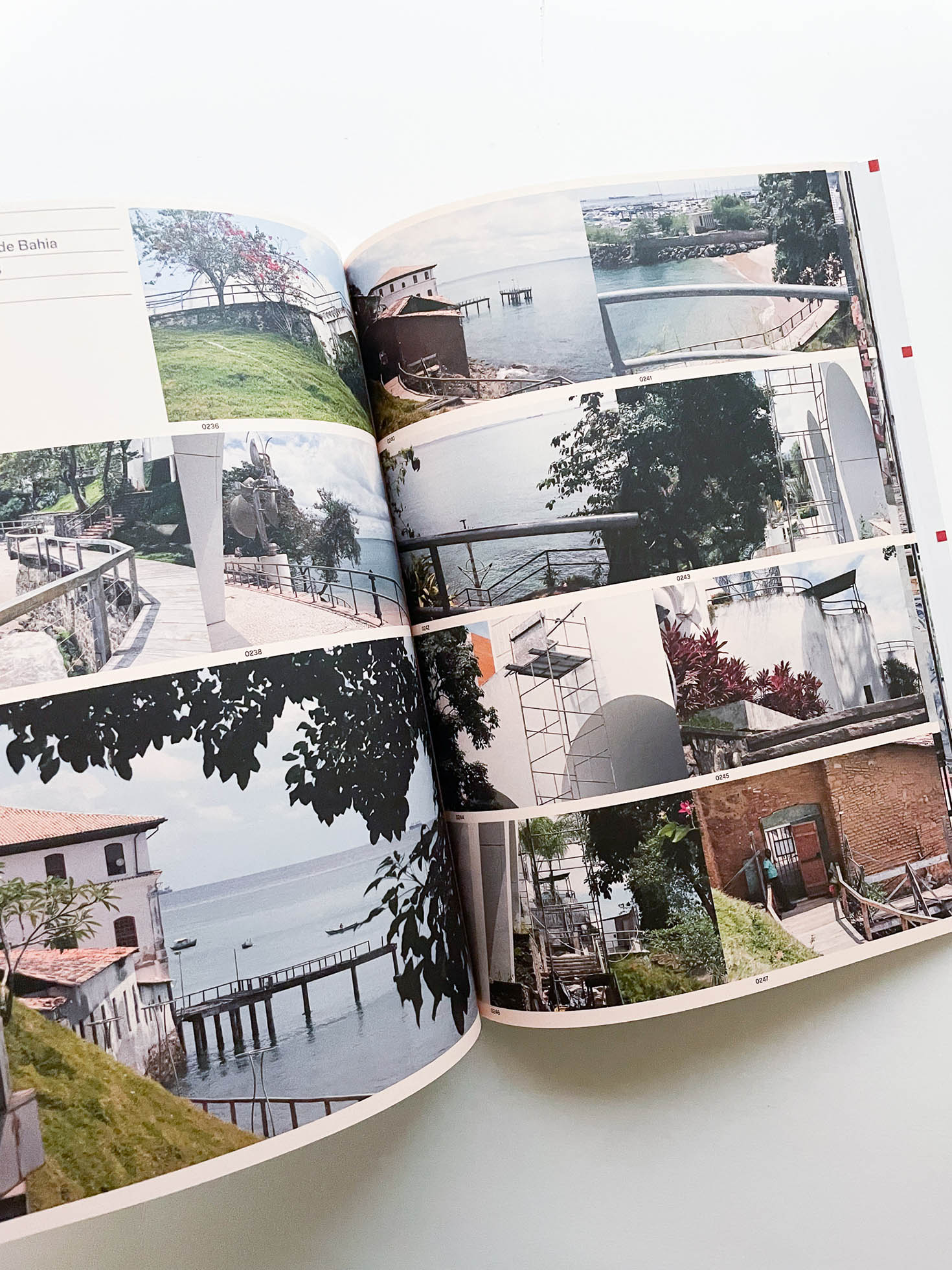 WILD WINDOWS: INSTITUTO BARDI | CASA DE VIDRO / Veronika Kellndorfer