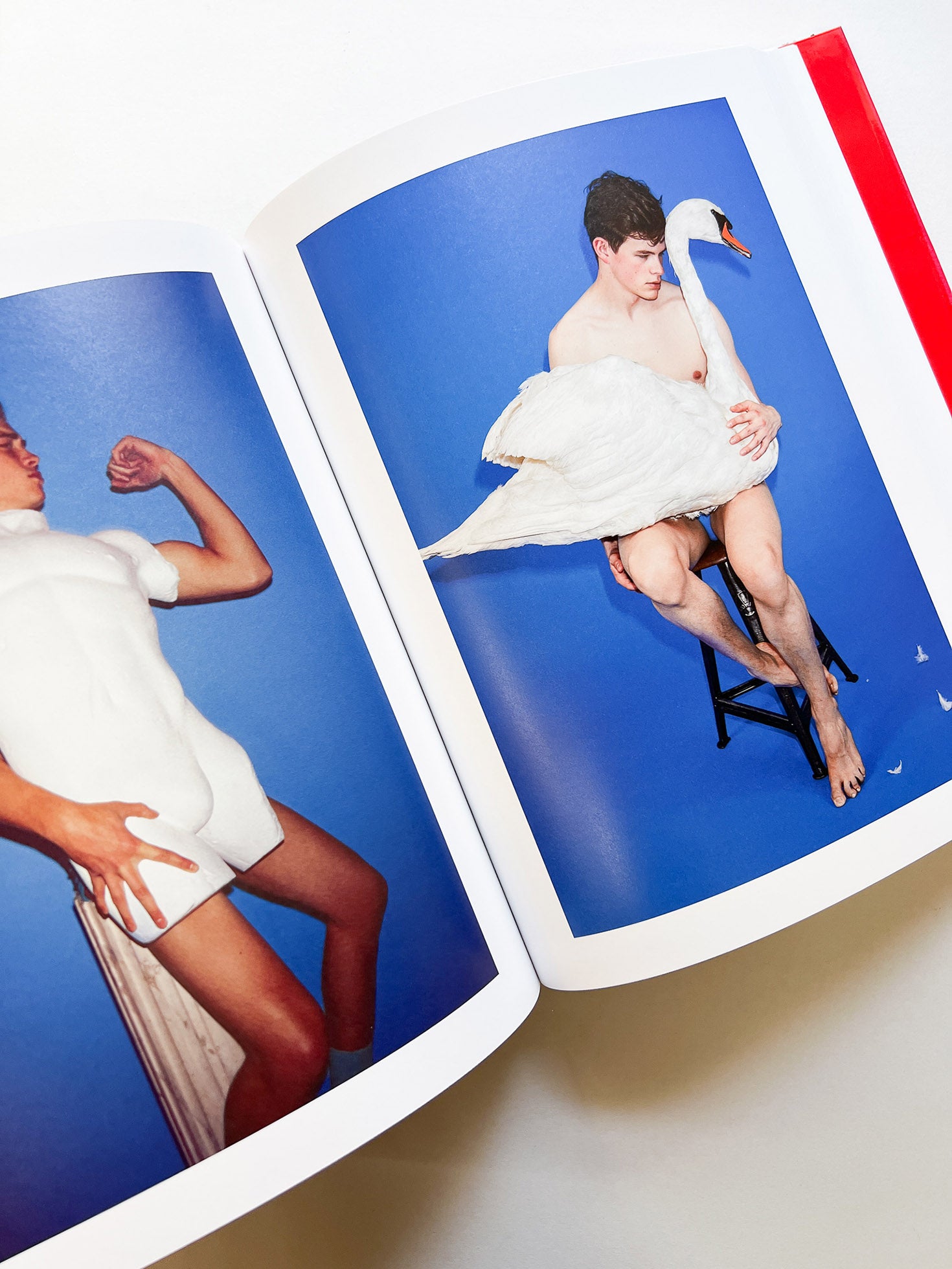 Chez Walti Photographs 2000–2022 / Walter Pfeiffer