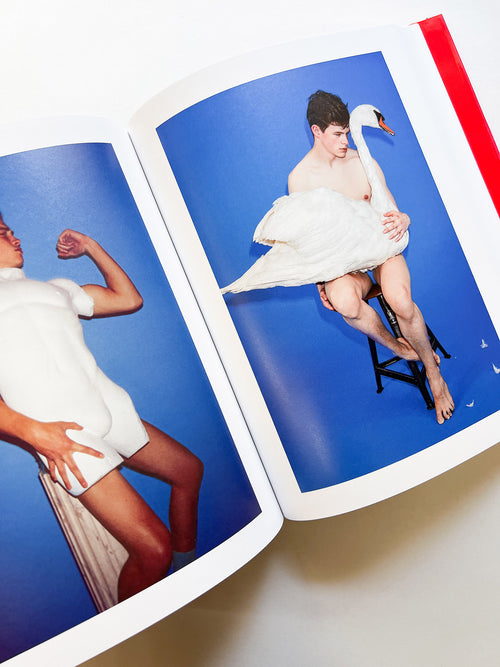 Chez Walti Photographs 2000–2022 / Walter Pfeiffer