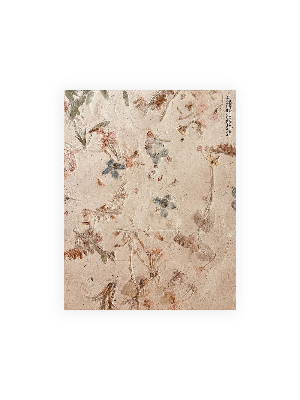 A MAGAZINE CURATED BY LUCIE AND LUKE MEIER