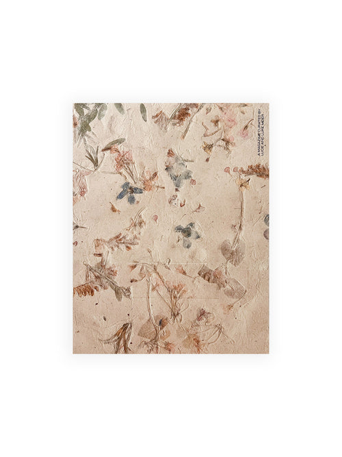 A MAGAZINE CURATED BY LUCIE AND LUKE MEIER