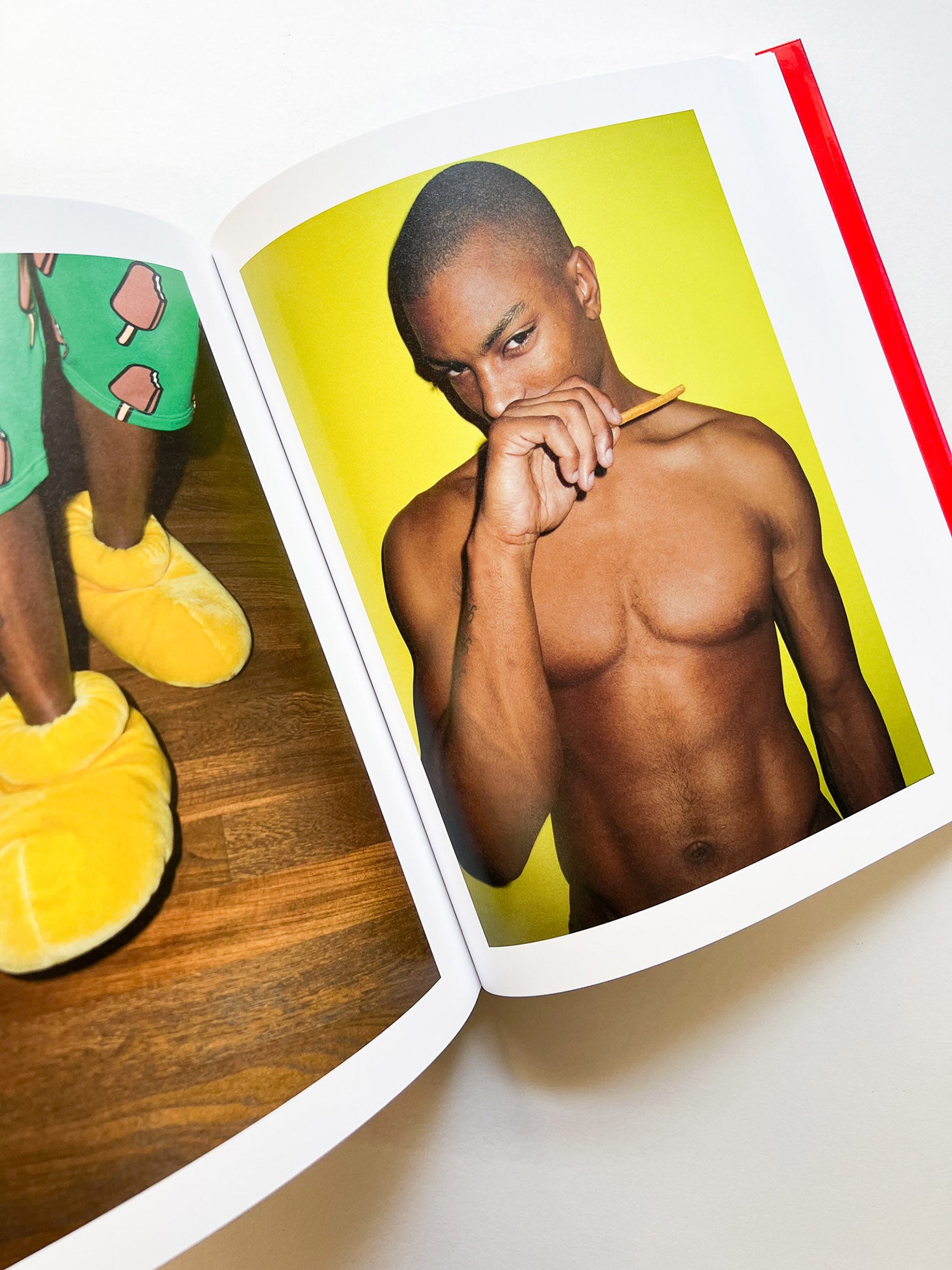 Chez Walti Photographs 2000–2022 / Walter Pfeiffer