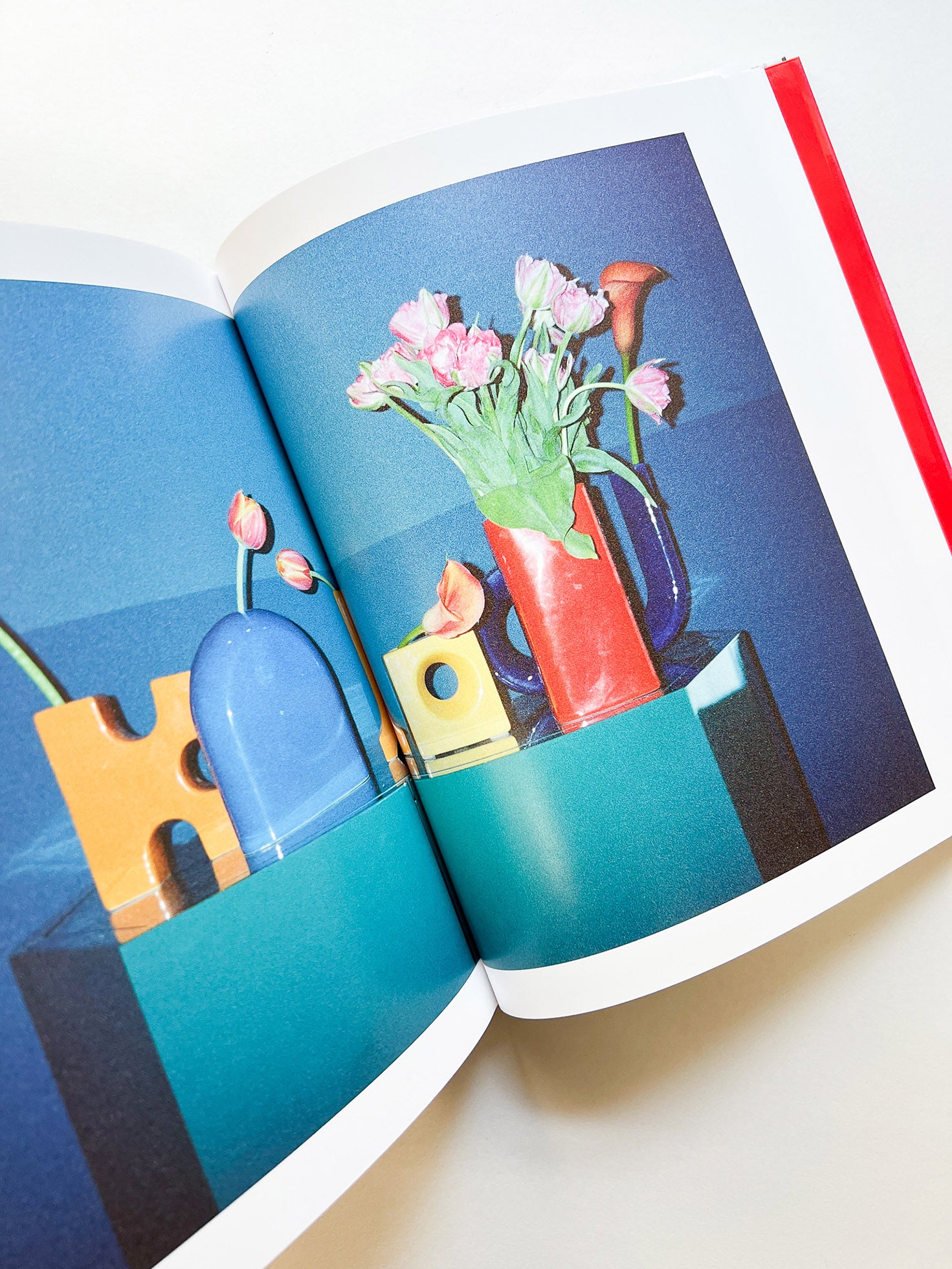 Chez Walti Photographs 2000–2022 / Walter Pfeiffer