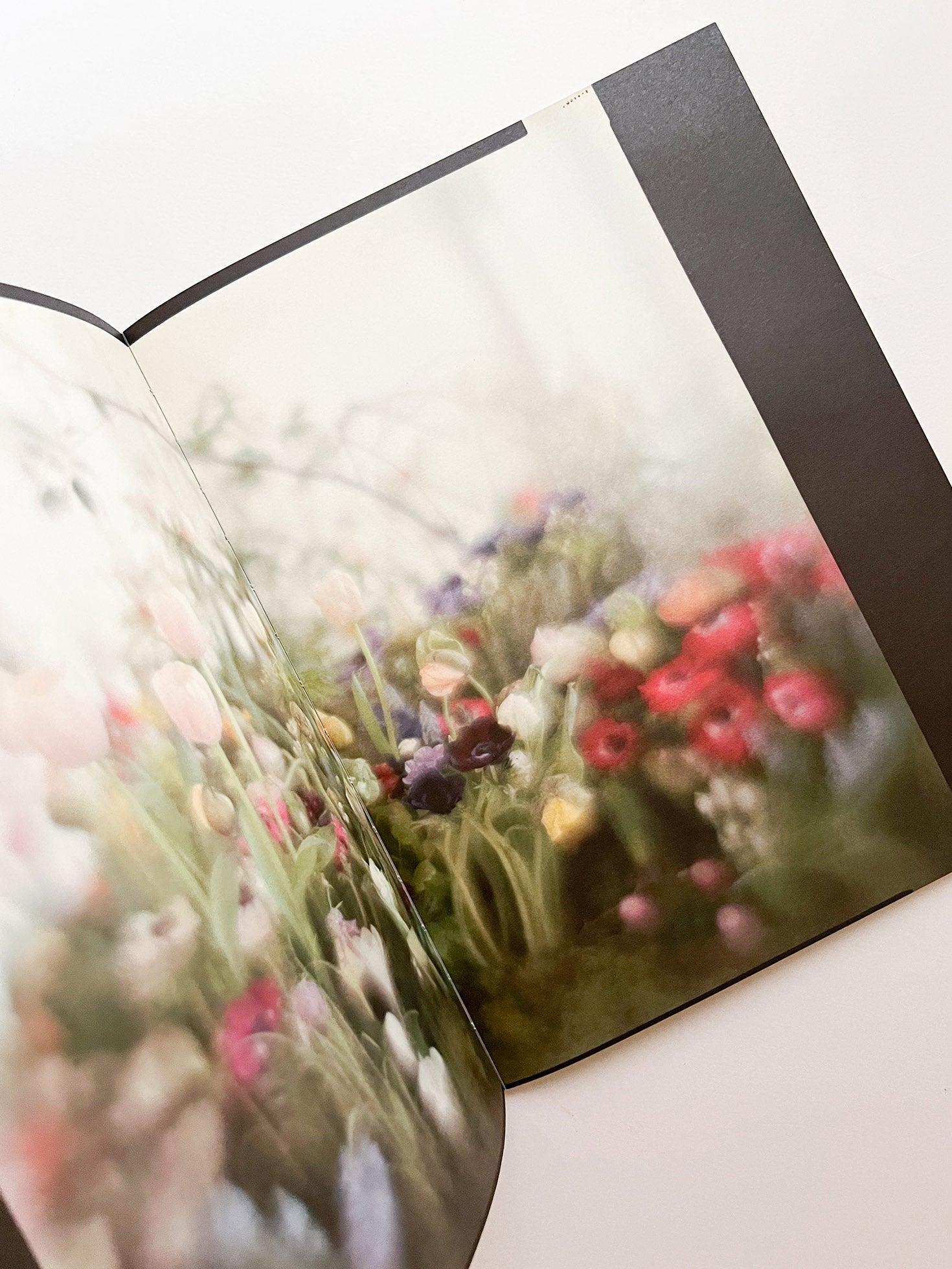 A MAGAZINE CURATED BY LUCIE AND LUKE MEIER