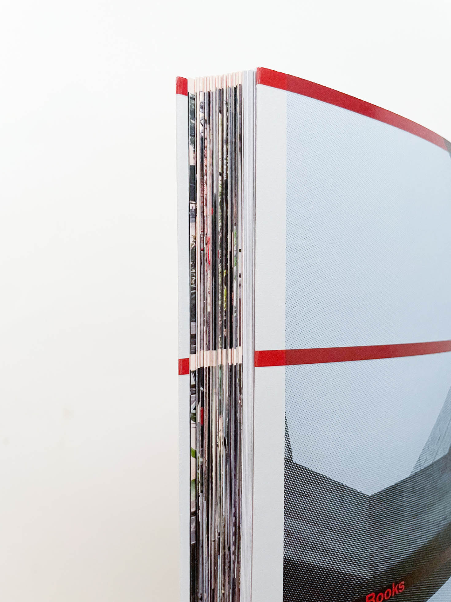 WILD WINDOWS: INSTITUTO BARDI | CASA DE VIDRO / Veronika Kellndorfer