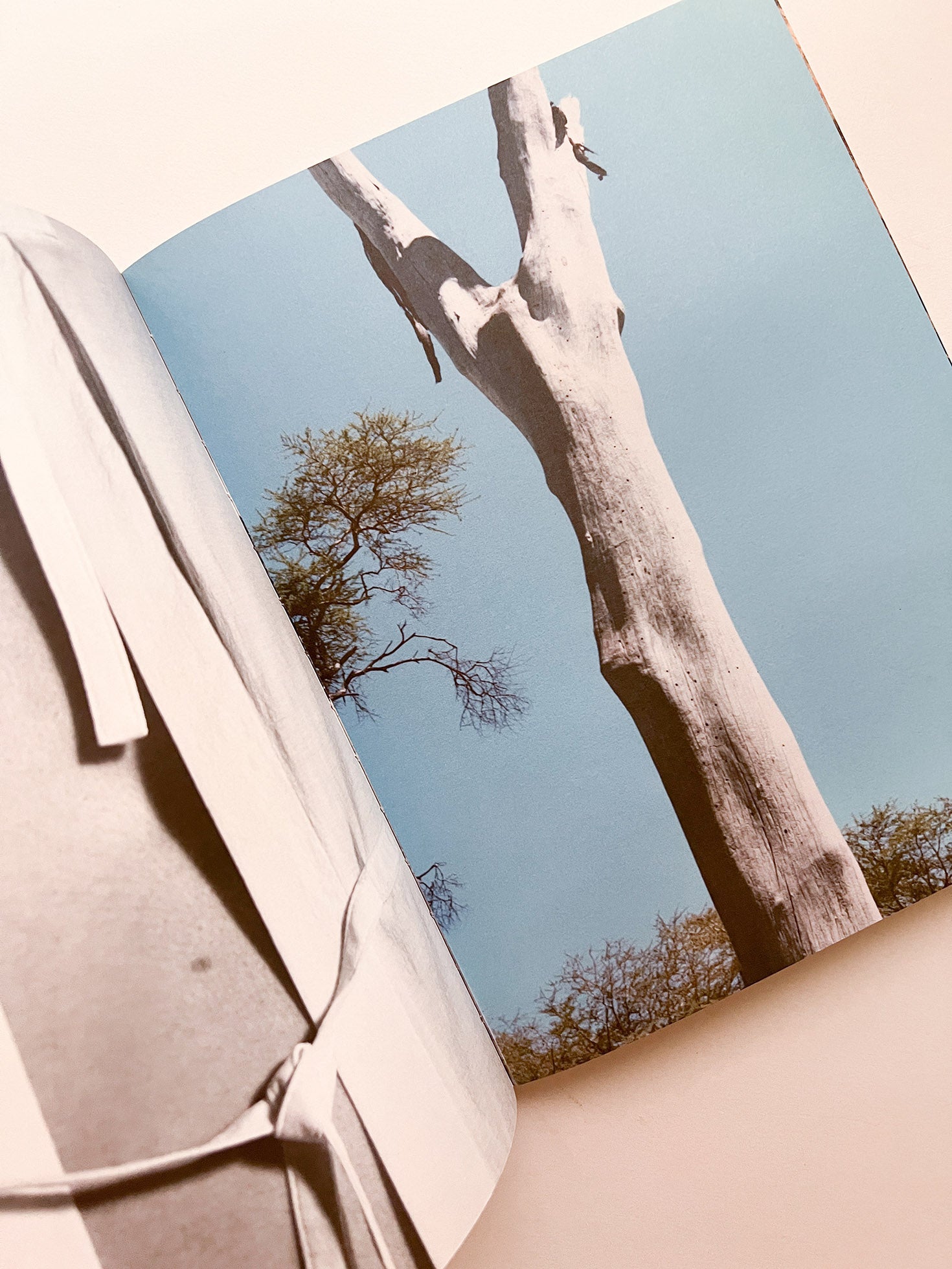 A MAGAZINE CURATED BY LUCIE AND LUKE MEIER