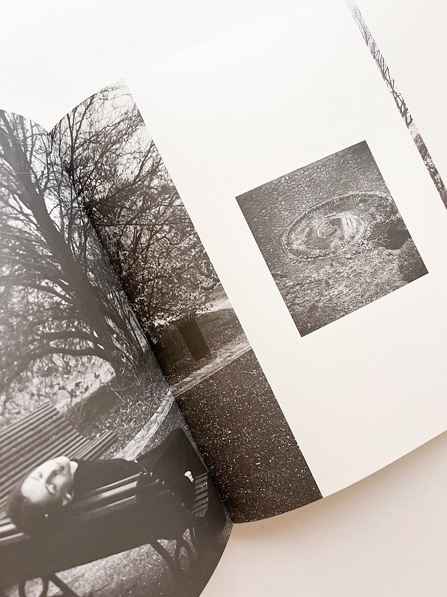 A MAGAZINE CURATED BY LUCIE AND LUKE MEIER - 本屋青旗 Ao-Hata
