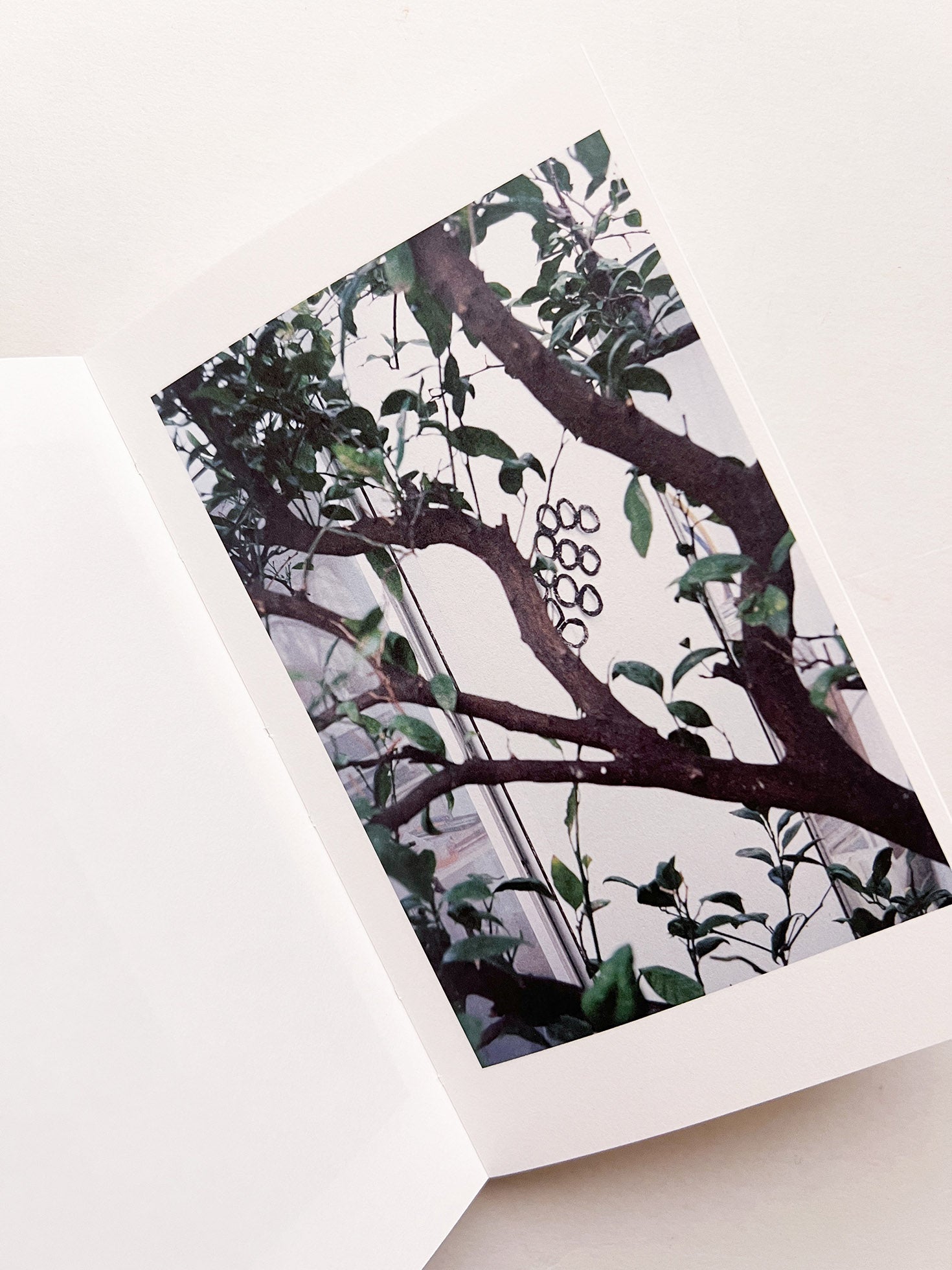 幽かなスリル / 木下理子 [SIGNED]