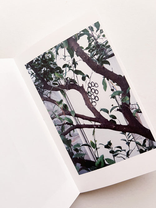 幽かなスリル / 木下理子 [SIGNED]