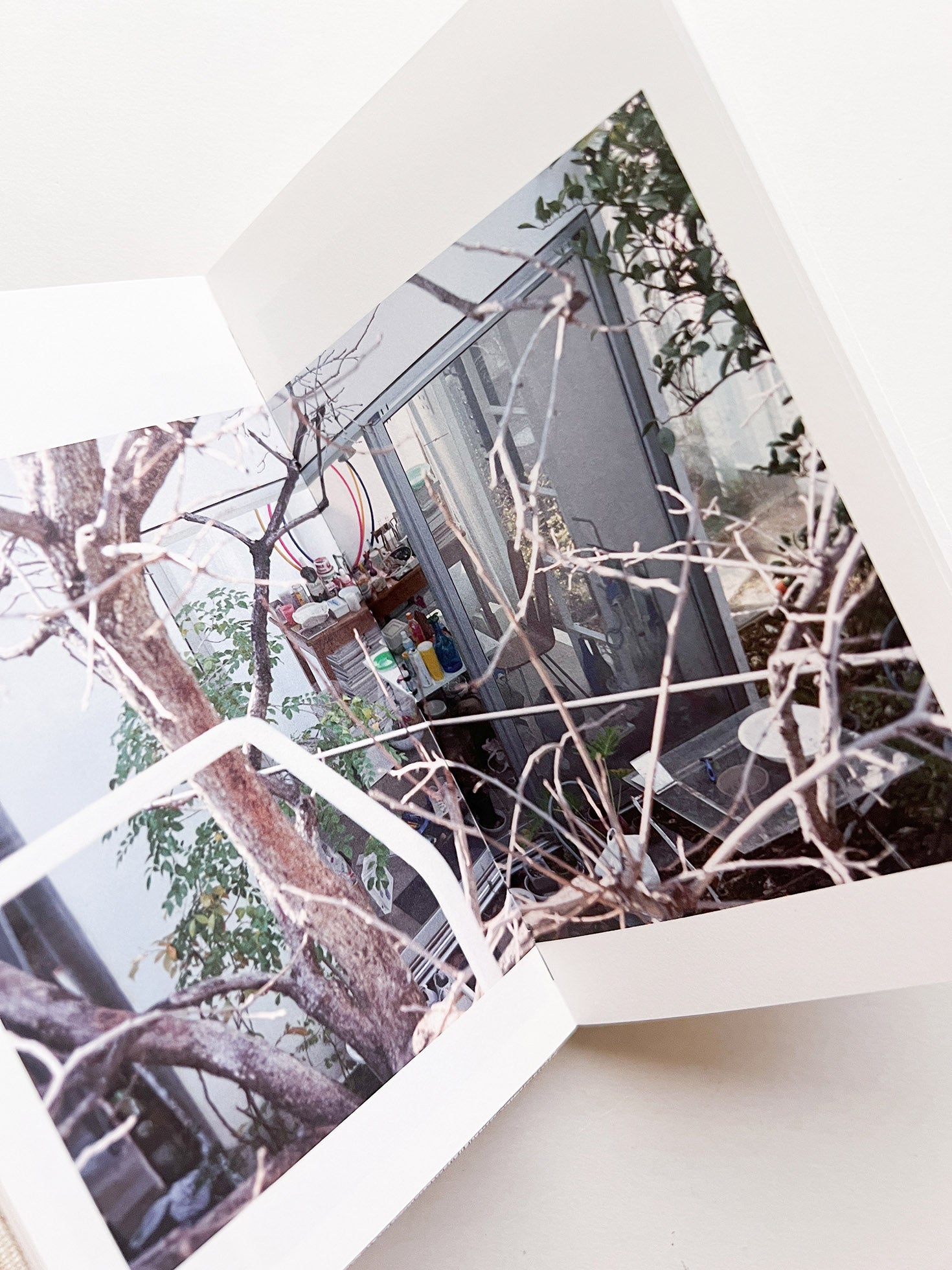 幽かなスリル / 木下理子 [SIGNED]