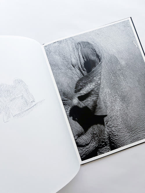 Entendue / Charlotte Dumas