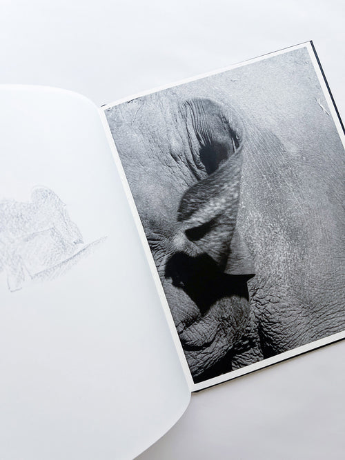 Entendue / Charlotte Dumas