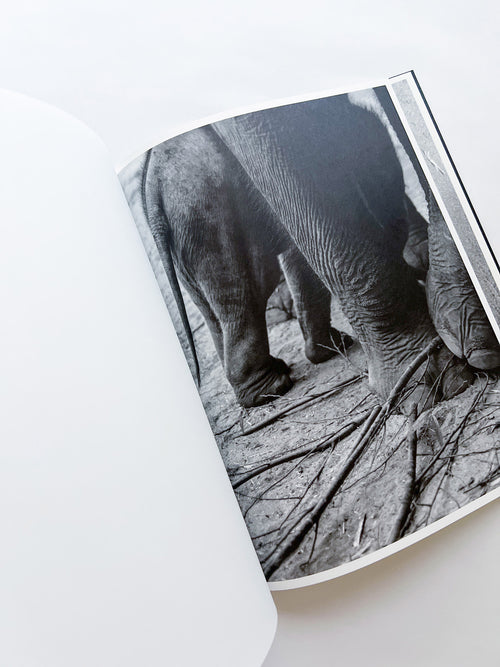 Entendue / Charlotte Dumas