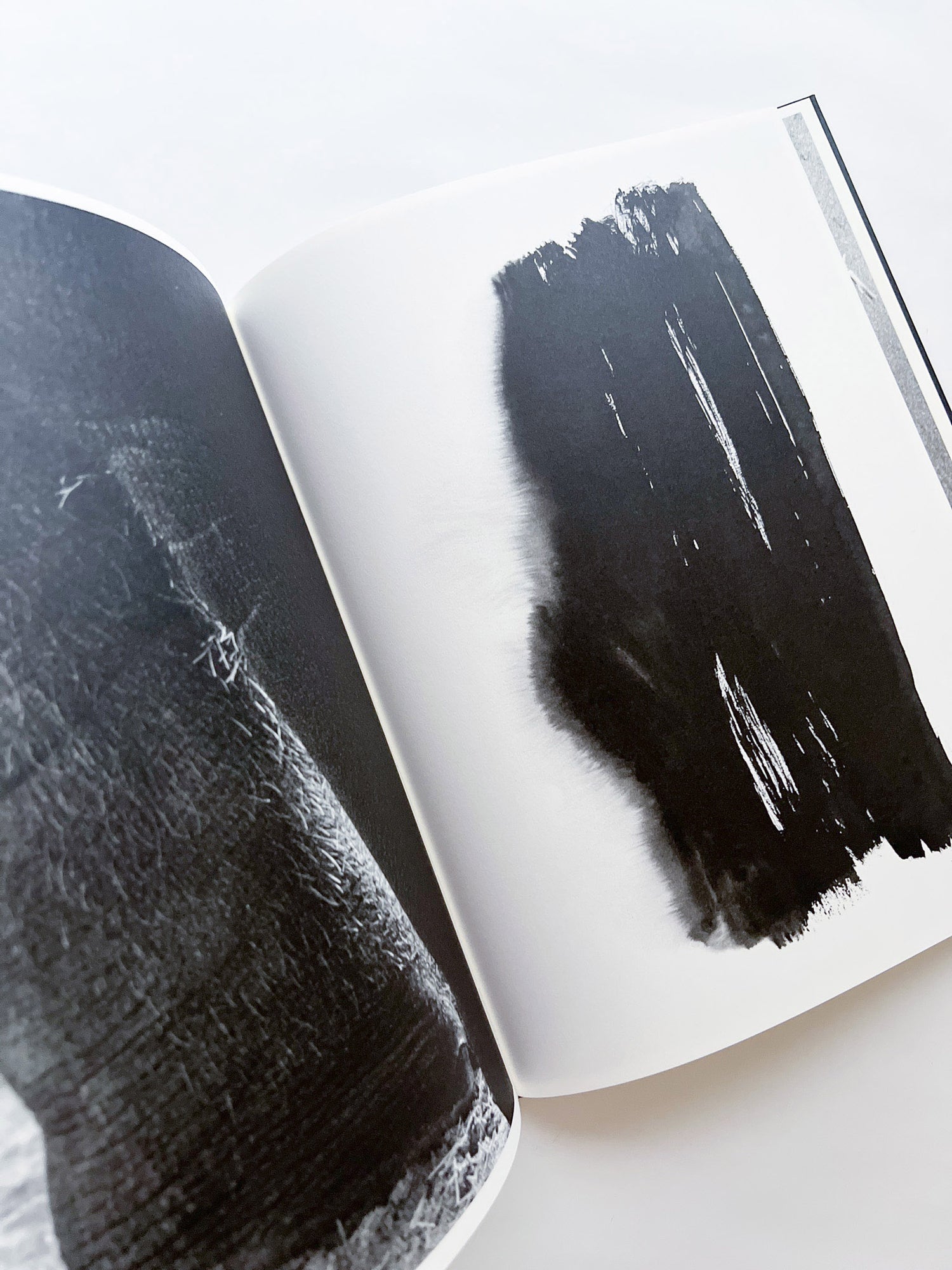 Entendue / Charlotte Dumas