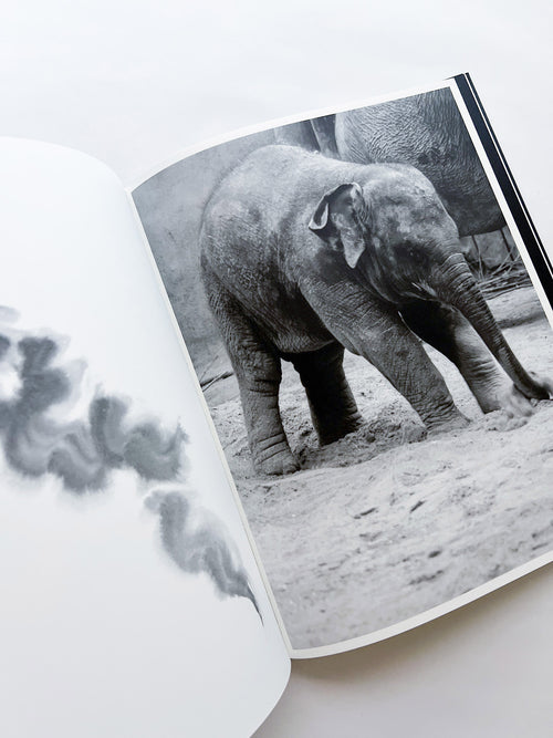 Entendue / Charlotte Dumas