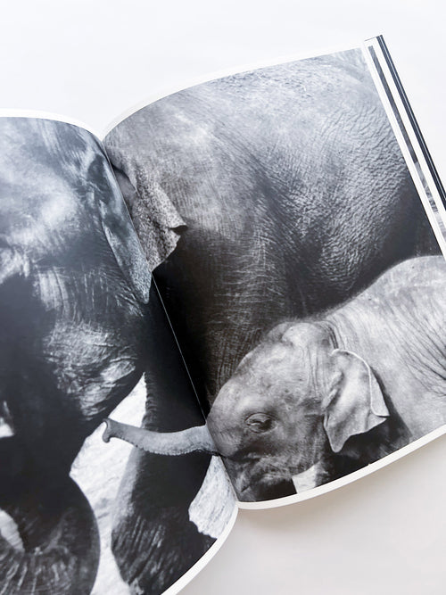 Entendue / Charlotte Dumas