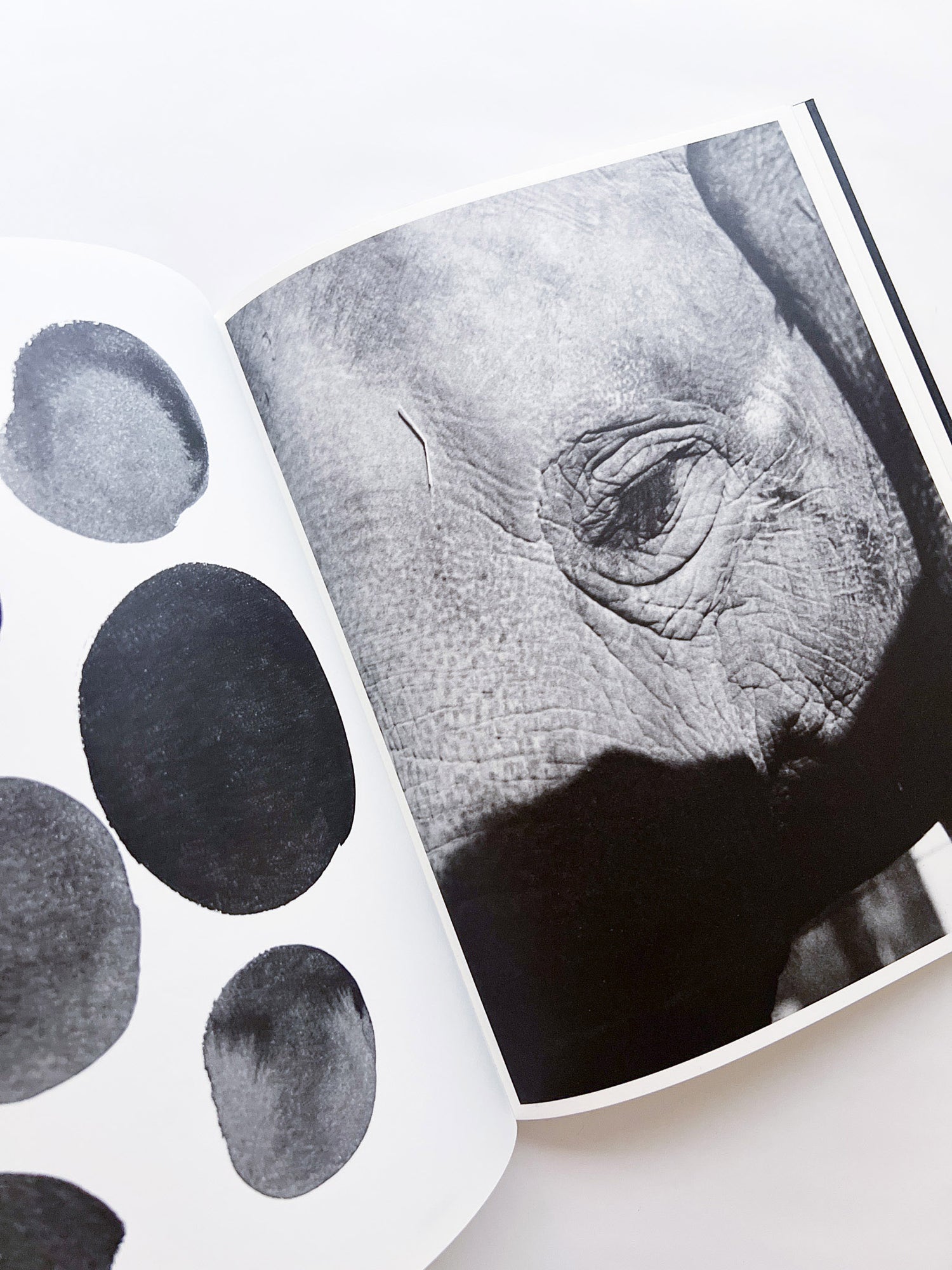 Entendue / Charlotte Dumas