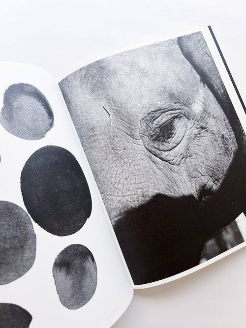 Entendue / Charlotte Dumas