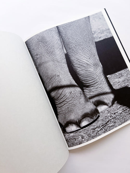 Entendue / Charlotte Dumas