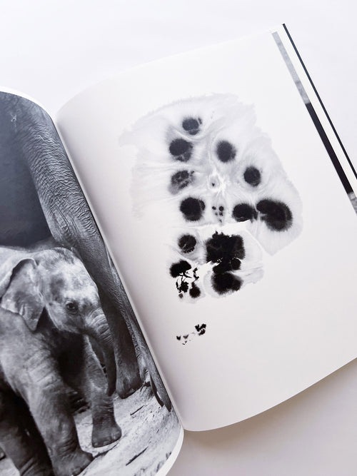 Entendue / Charlotte Dumas