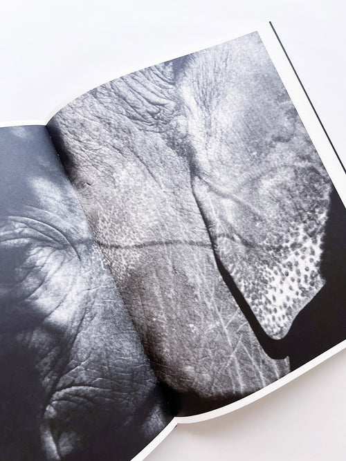 Entendue / Charlotte Dumas