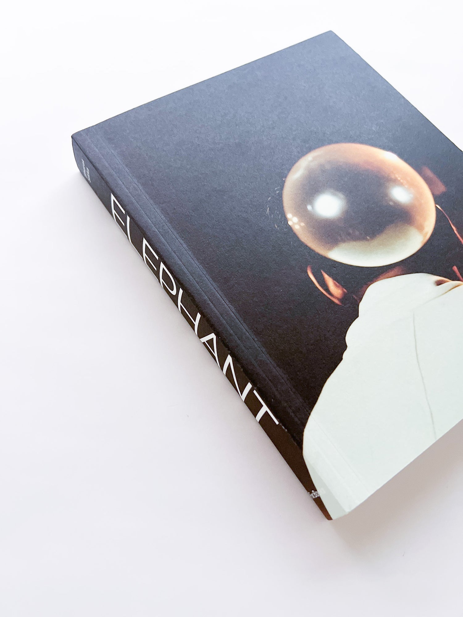 Elephant in the Room / Bharat Sikka