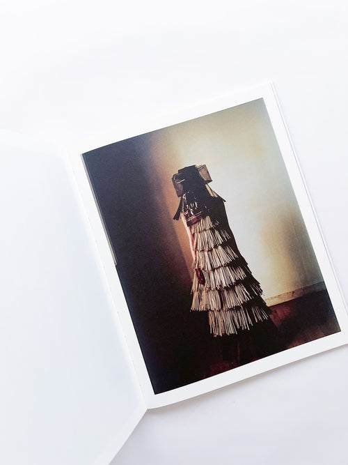 Elephant in the Room / Bharat Sikka