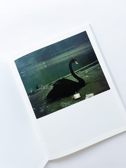 Elephant in the Room / Bharat Sikka