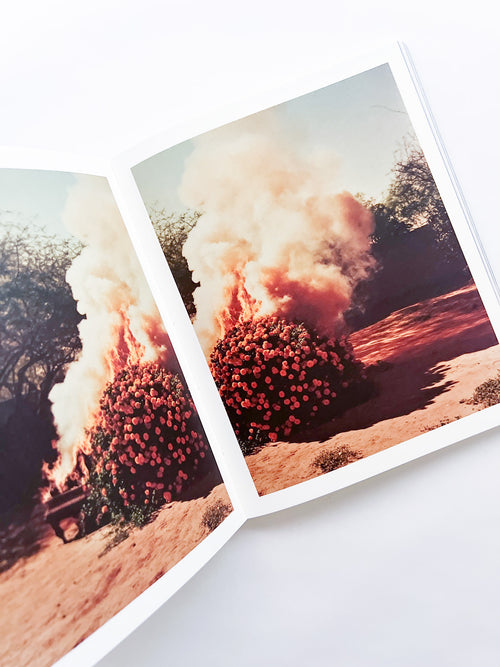 Elephant in the Room / Bharat Sikka