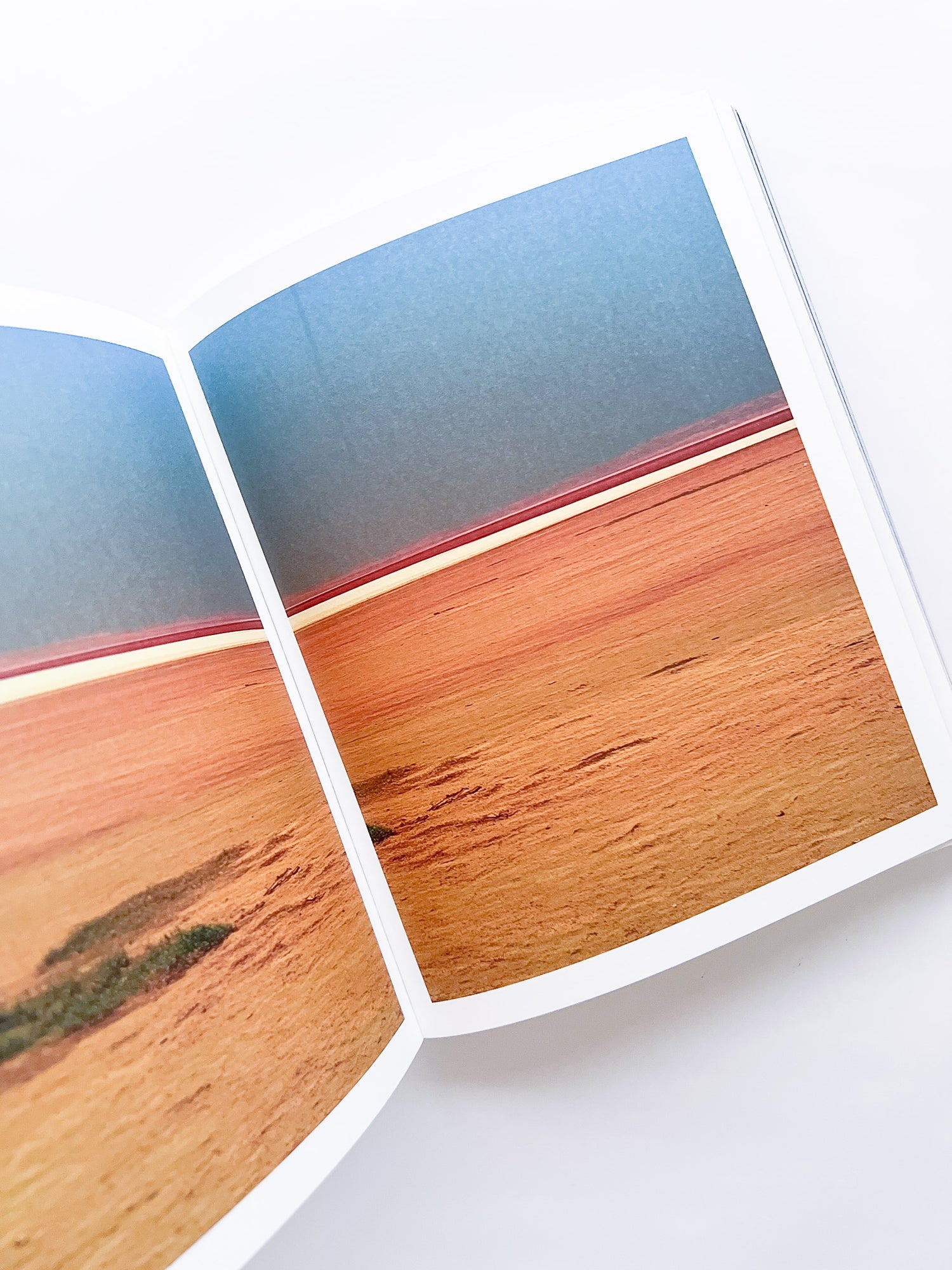 Elephant in the Room / Bharat Sikka