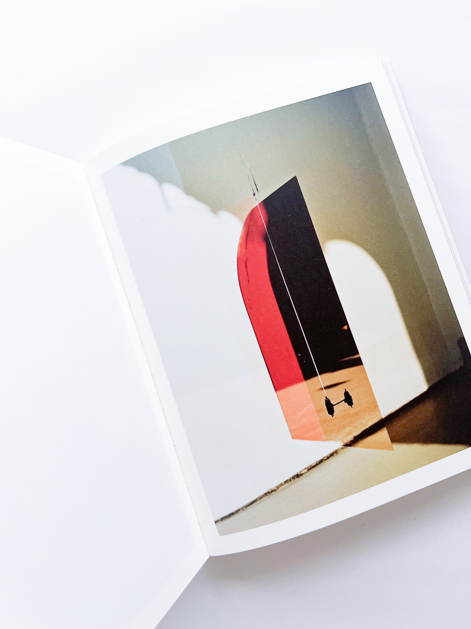 Elephant in the Room / Bharat Sikka