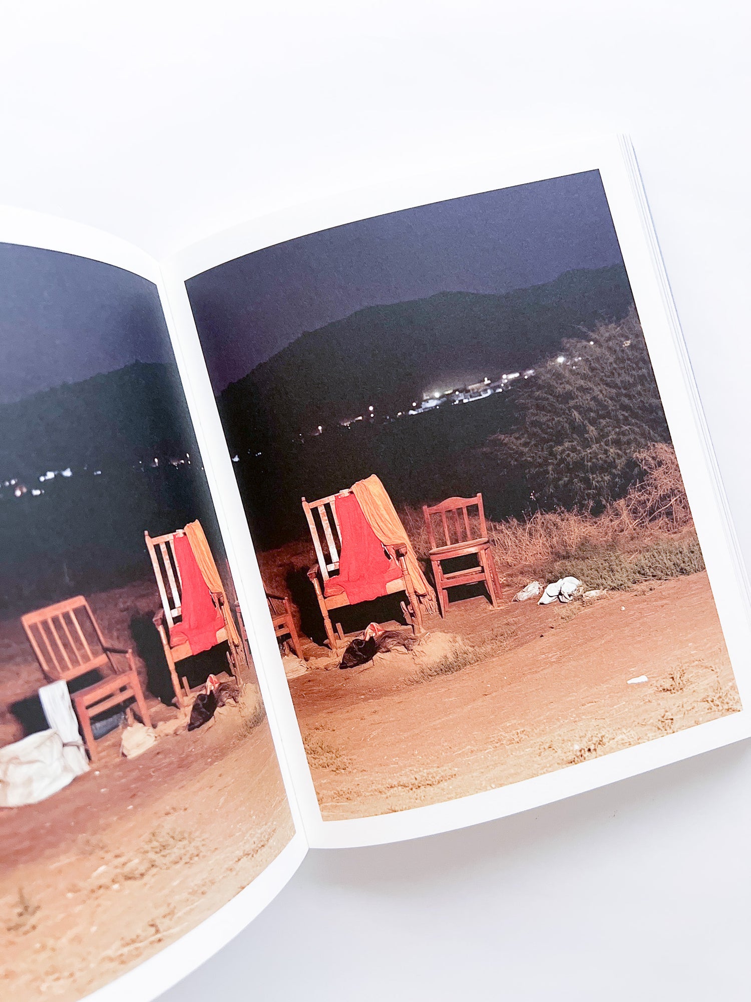 Elephant in the Room / Bharat Sikka