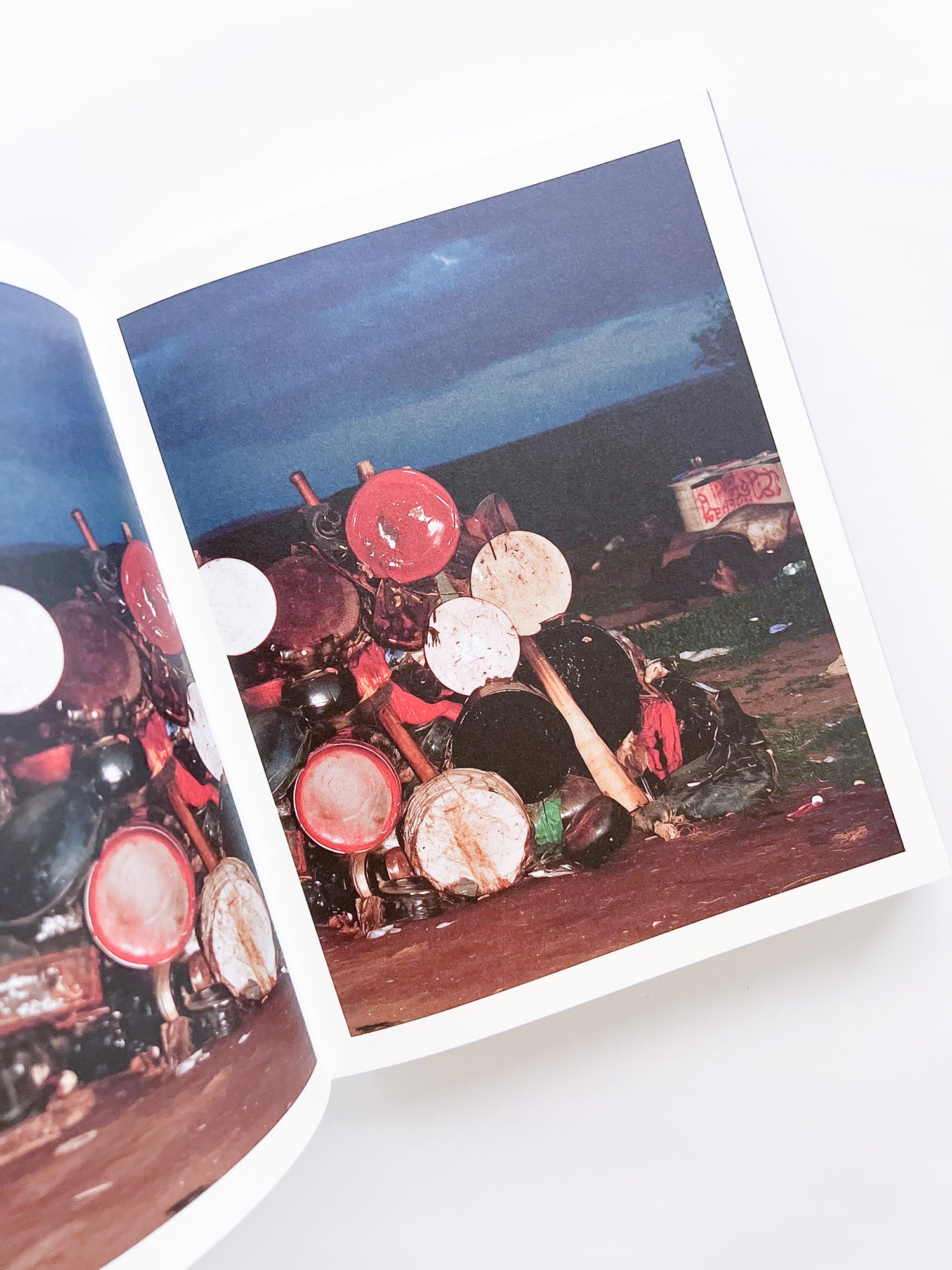 Elephant in the Room / Bharat Sikka