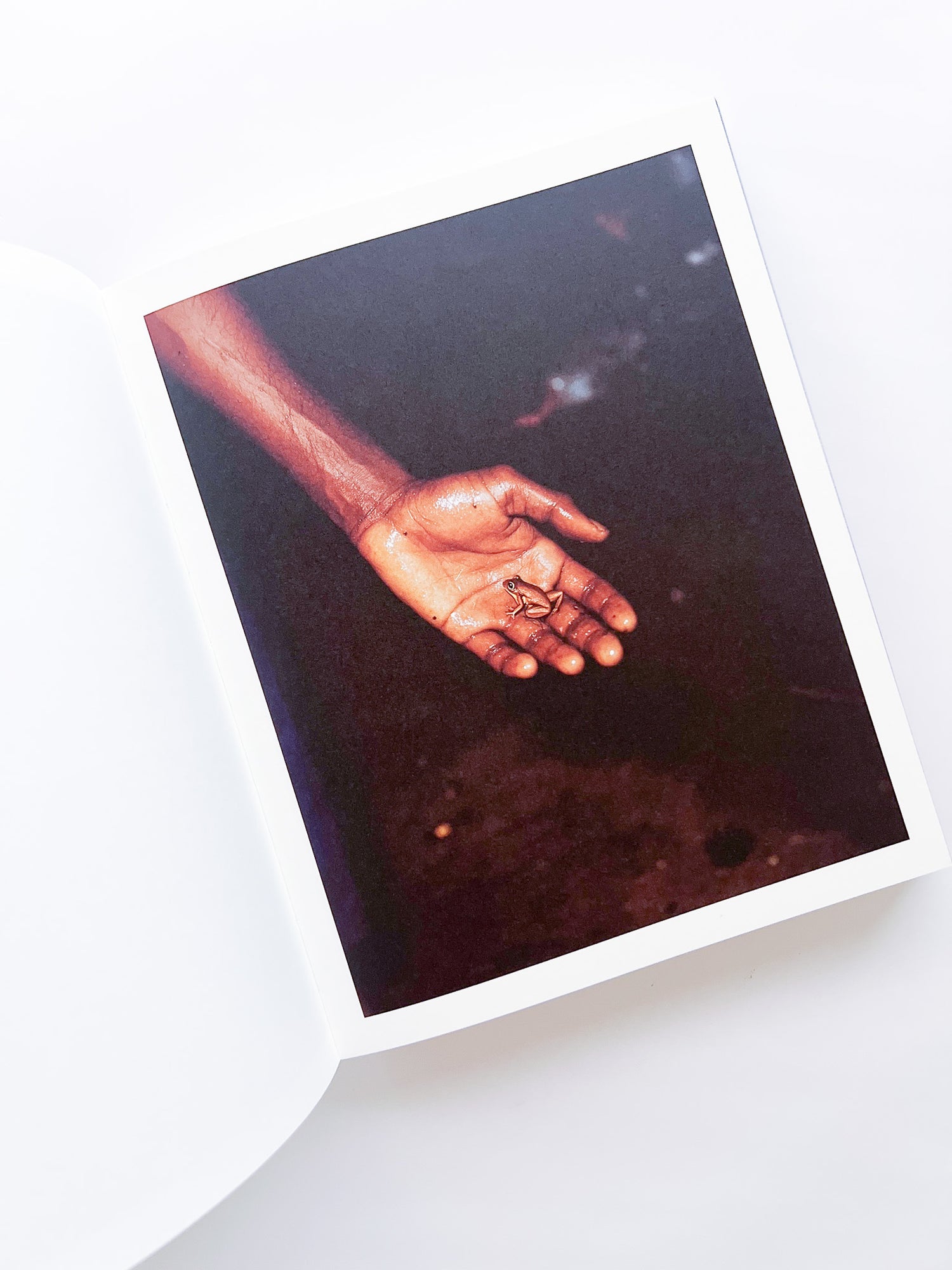 Elephant in the Room / Bharat Sikka