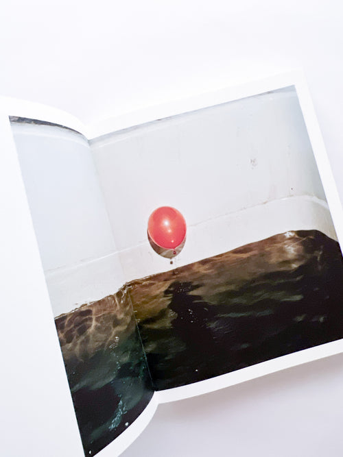 Elephant in the Room / Bharat Sikka